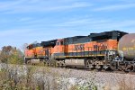 BNSF 1038 Roster shot